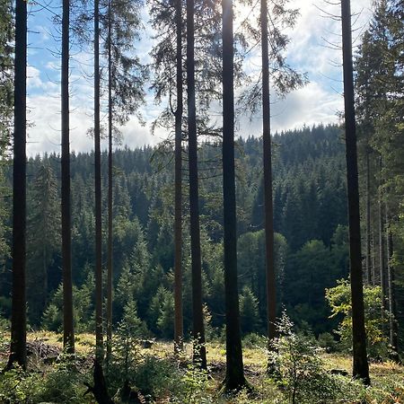 Der Schoene Asten - Resort Винтерберг Экстерьер фото